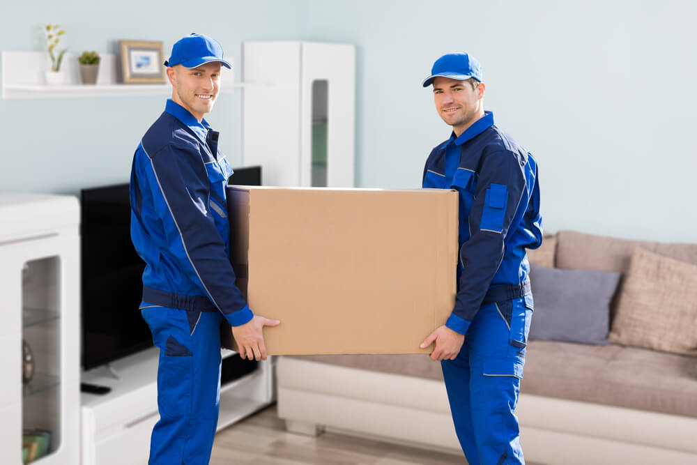 Full Service Moving Company Lake Panasoffkee